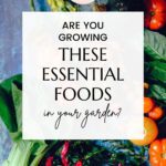essential foods you should be growing