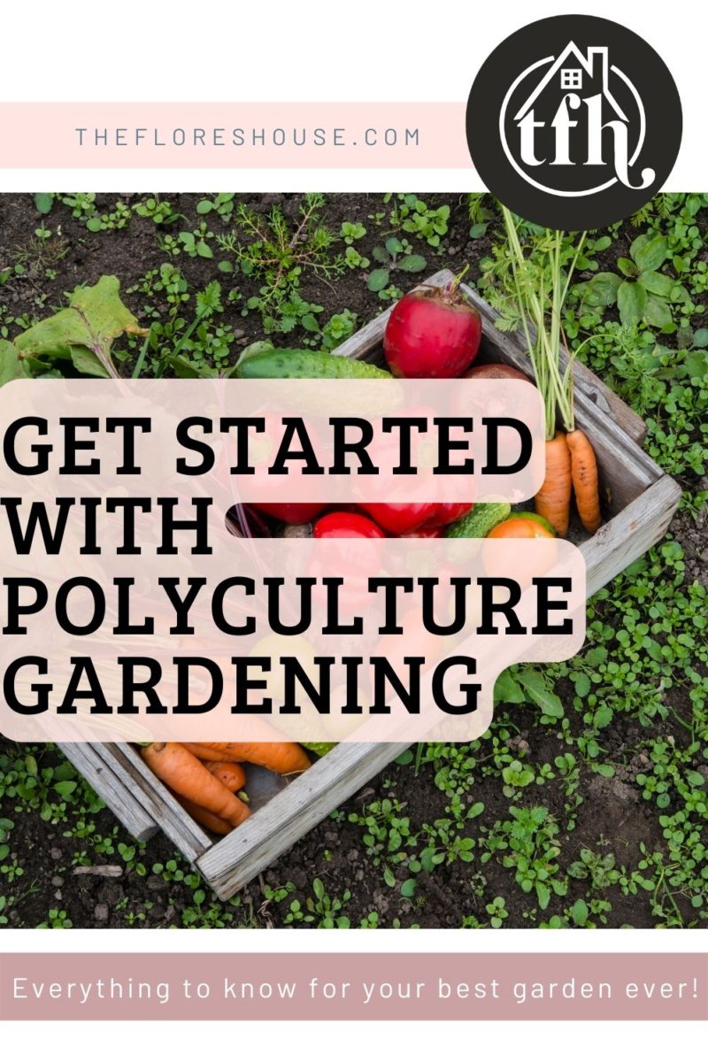 how to get started with polyculture