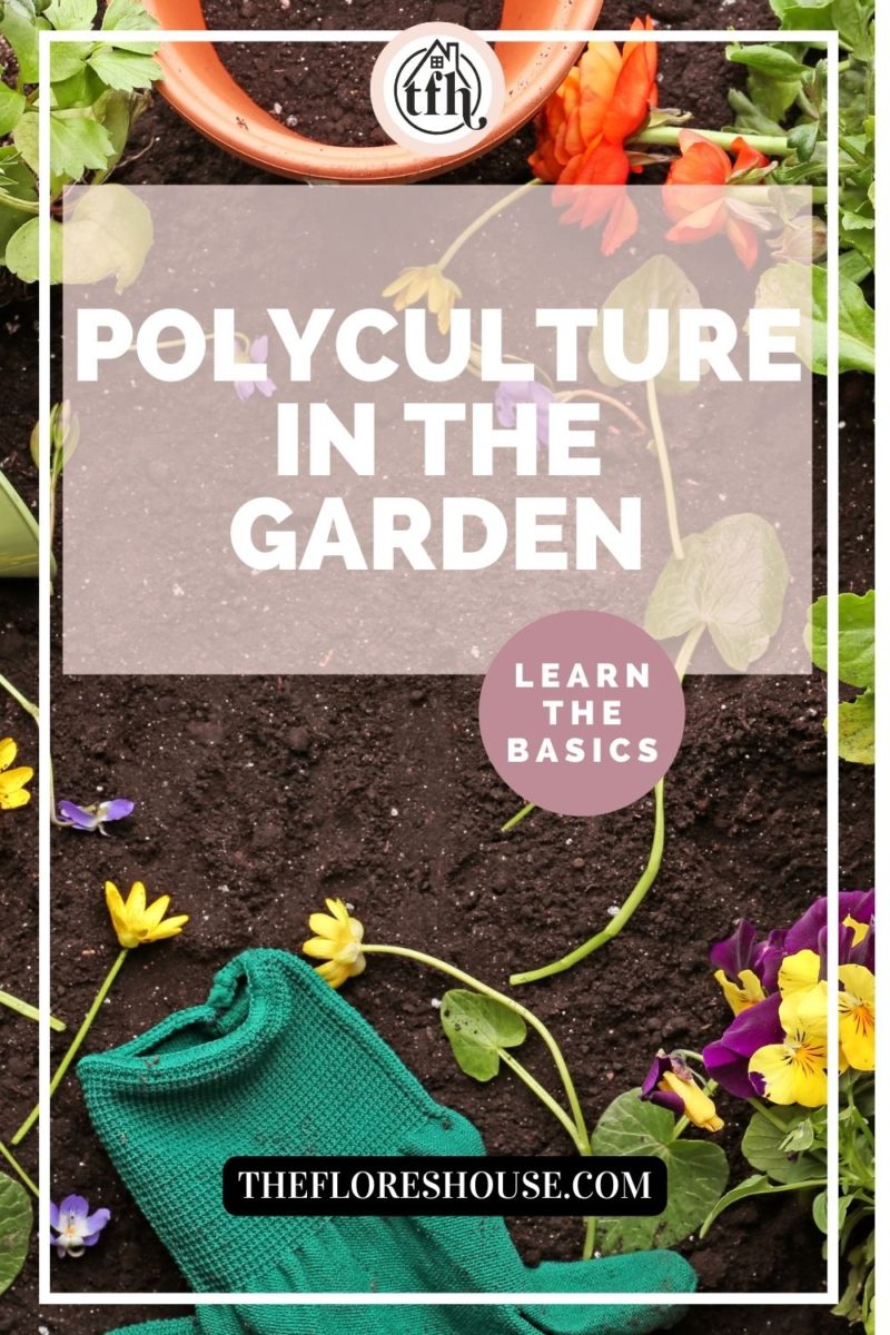 learn the basics of polyculture gardening