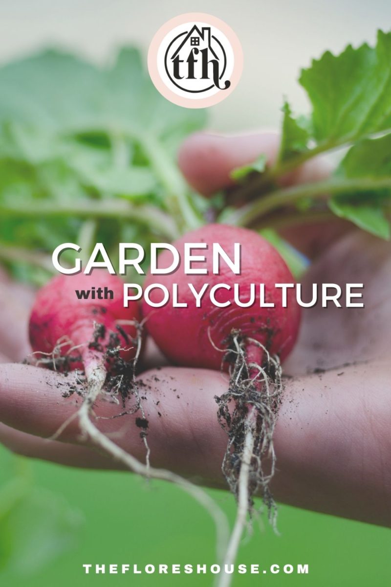 garden with polyculture