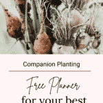 free garden binder pdfs