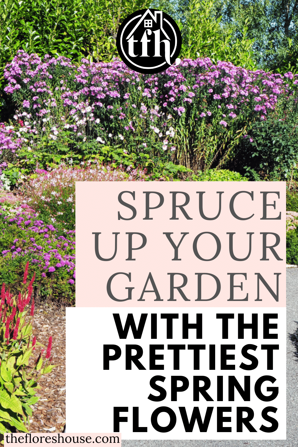 spruce up your garden with spring flowers
