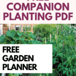 free garden planner
