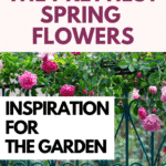 Plant These Spring Flowers