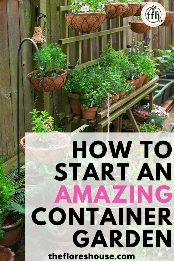 how to start an amazing container garden