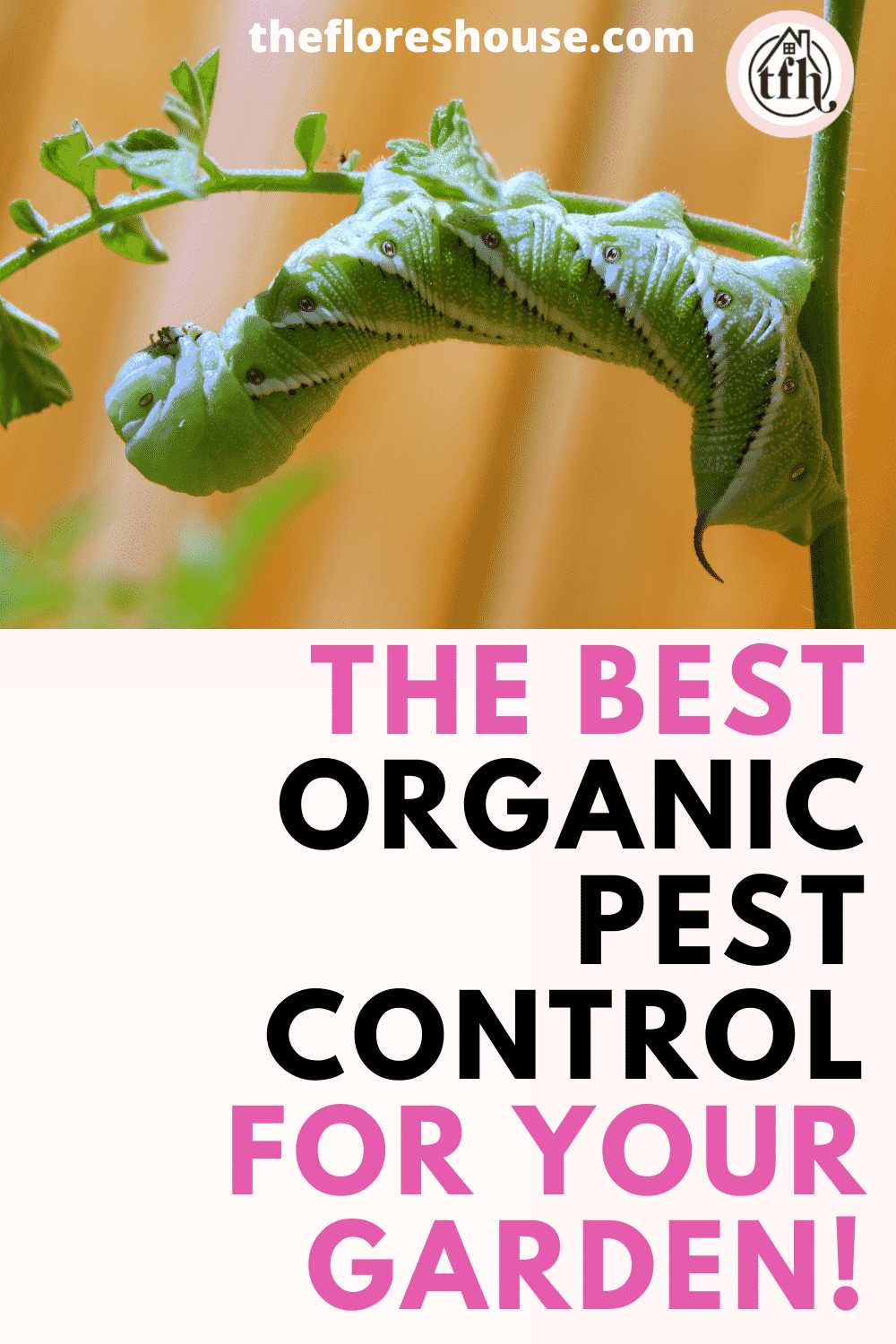 the best organic pest control for your garden