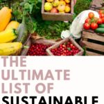 sustainable foods list