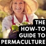 permaculture gardening
