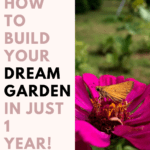 dream garden pinterest
