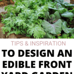 design an edible front yard