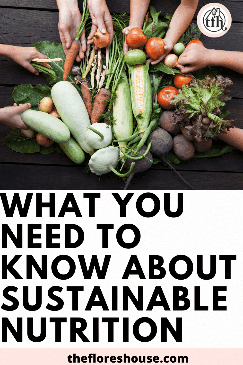 beginner's guide to sustainable nutrition