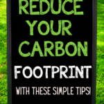 how to reduce your carbon footprint