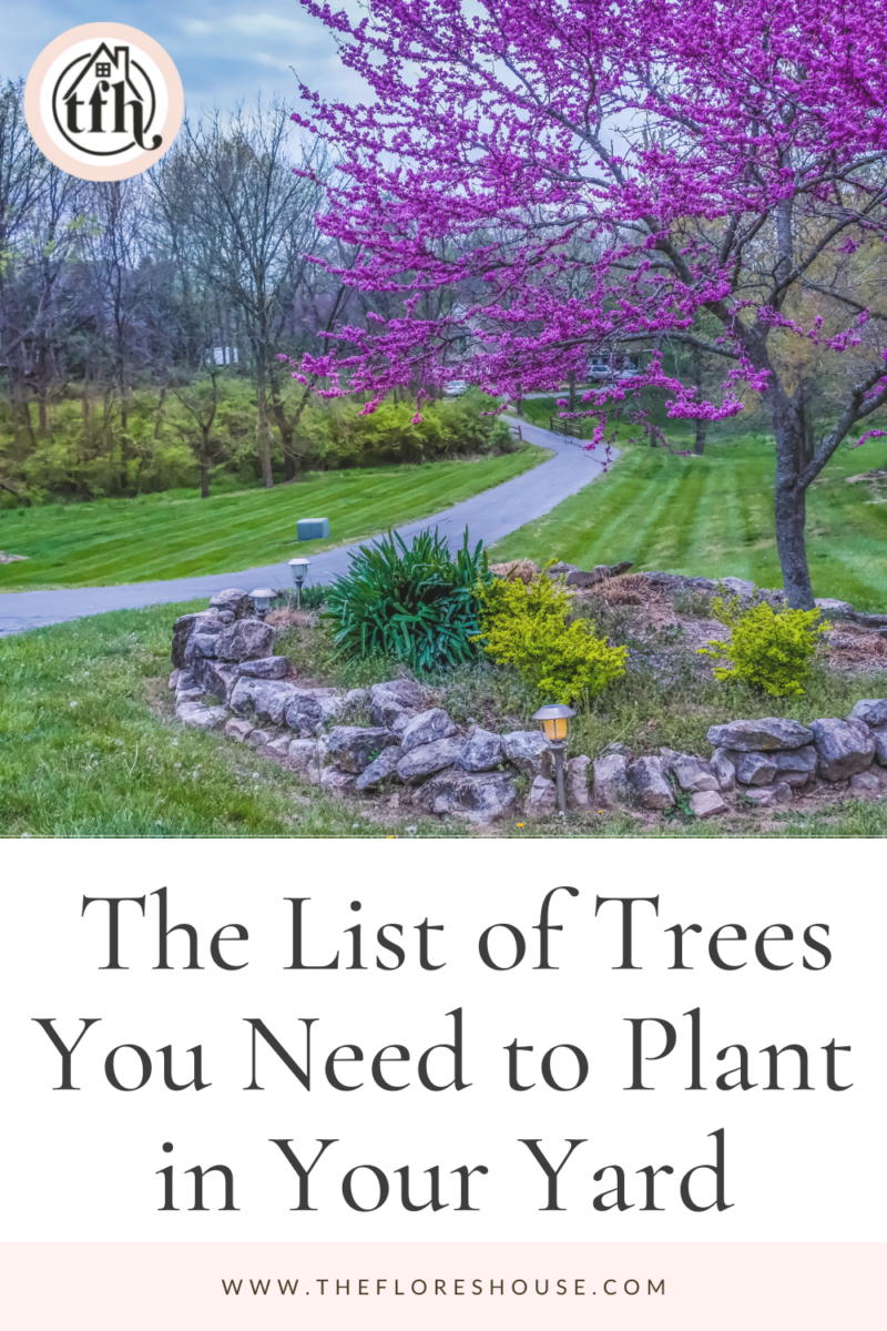 list of trees to plant