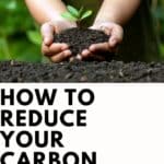 reduce your carbon footprint