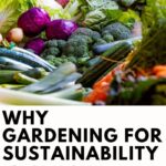 garden for sustainability