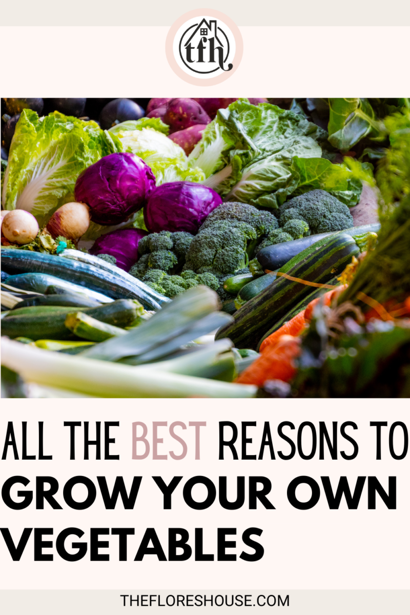 all the best reasons to grow your own vegetables