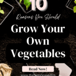 grow your own vegetables