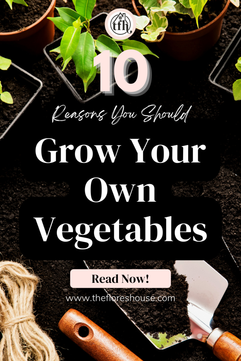 10 reasons why you should grow your own vegetables