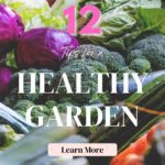 12 Tips for a Healthy Garden