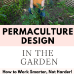 permaculture design