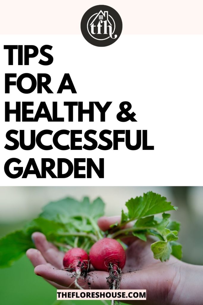 How to Have a Successful Garden