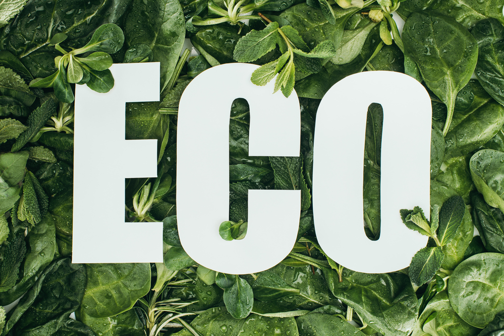  eco friendly products examples