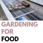 gardening for food security