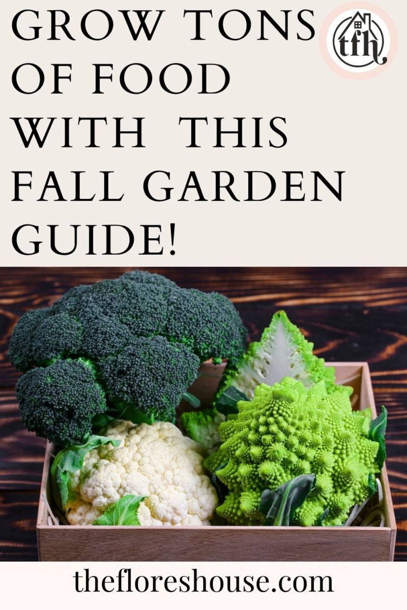 fall garden guide