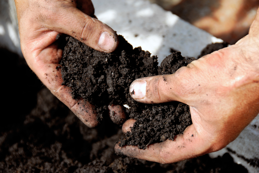 healthy garden soil