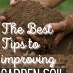 tips to improving garden soil