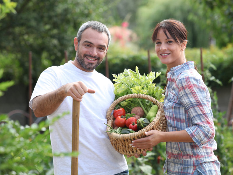 self-reliant couple gardening