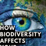 biodiversity and you