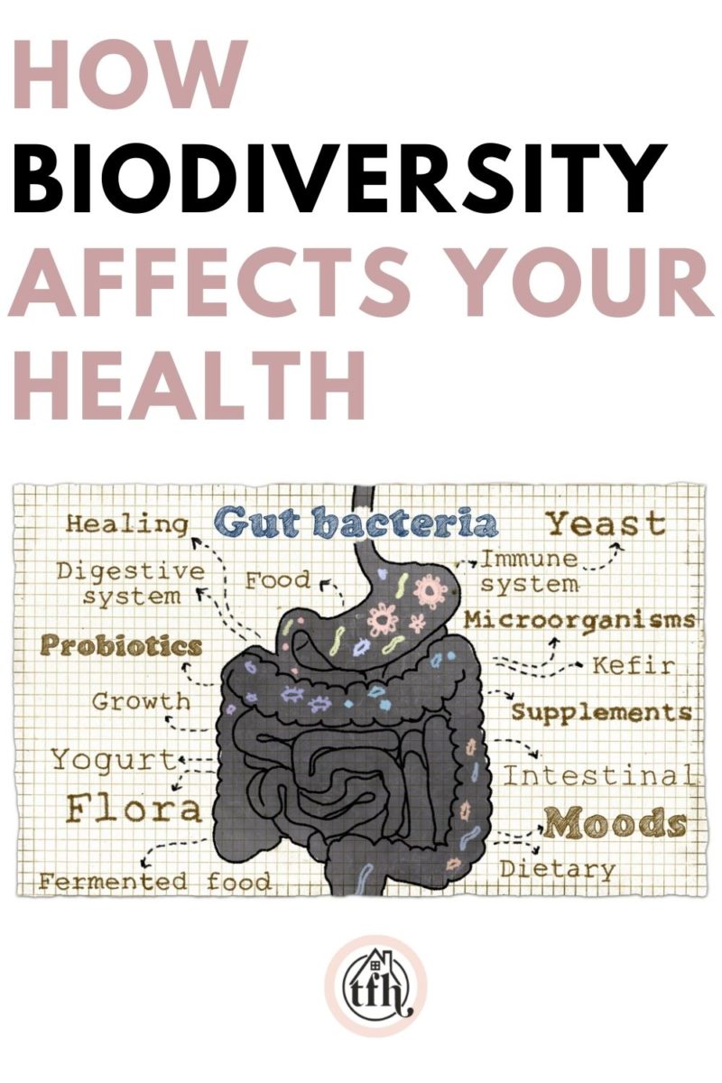 biodiversity importance