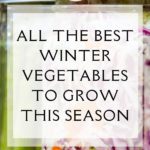 winter vegetables