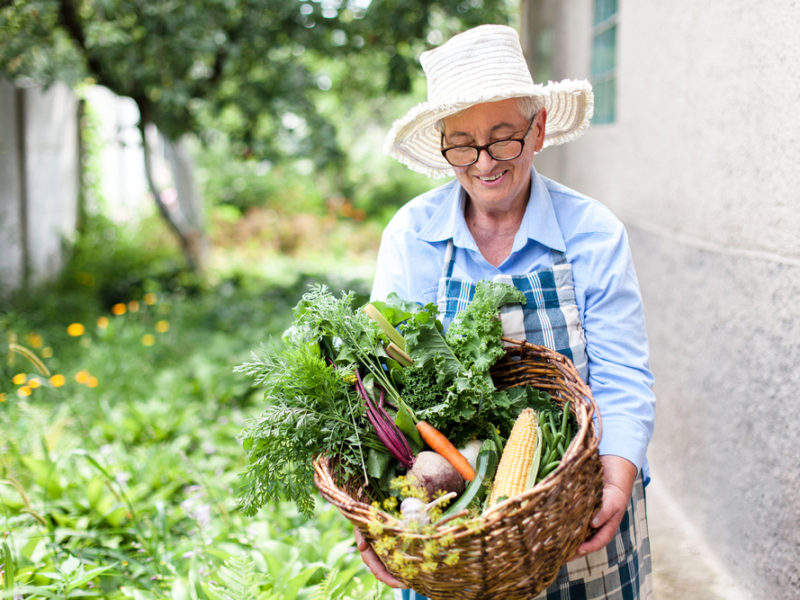 woman with a basket of organic garden vegetables