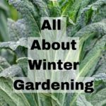 winter gardening