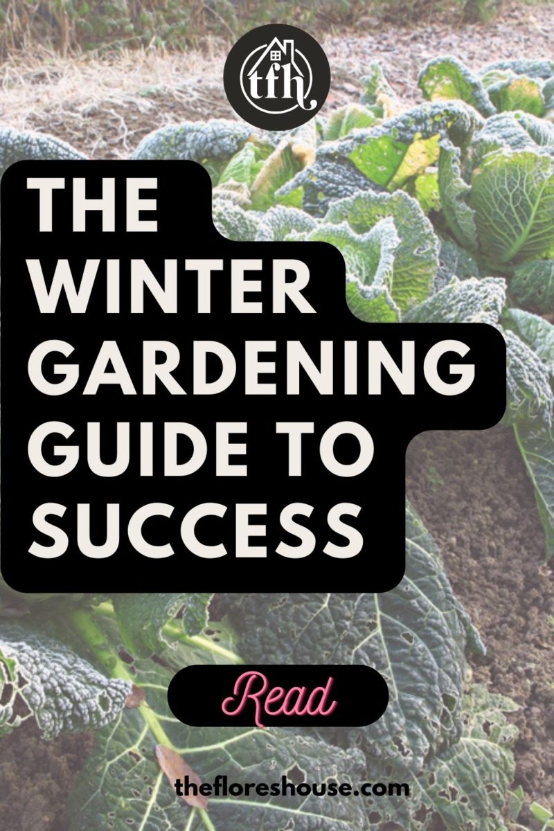 winter gardening