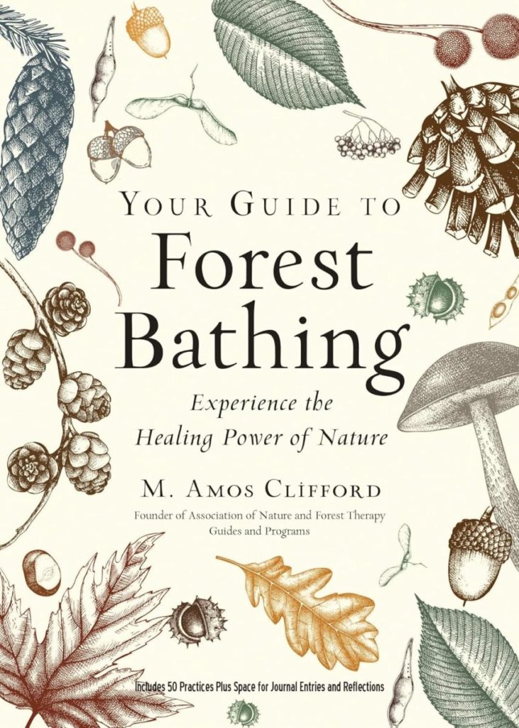 your guide to forest bathing for nature therapy