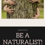 how to be a naturalist