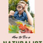 what makes you a naturalist