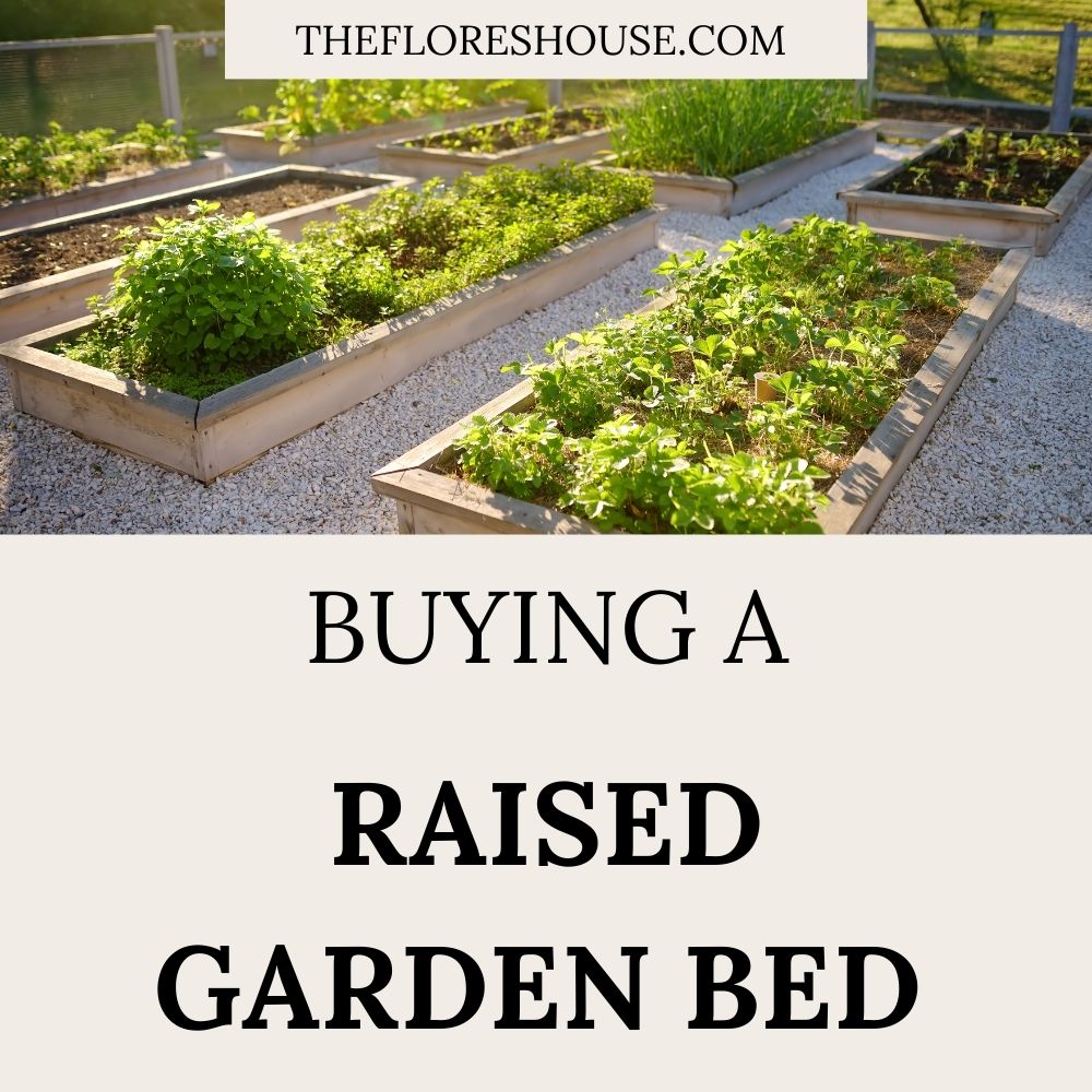 buying a raised garden bed