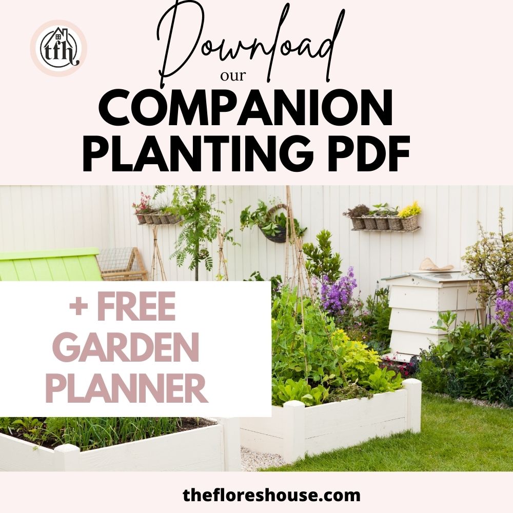free garden planner companion planting