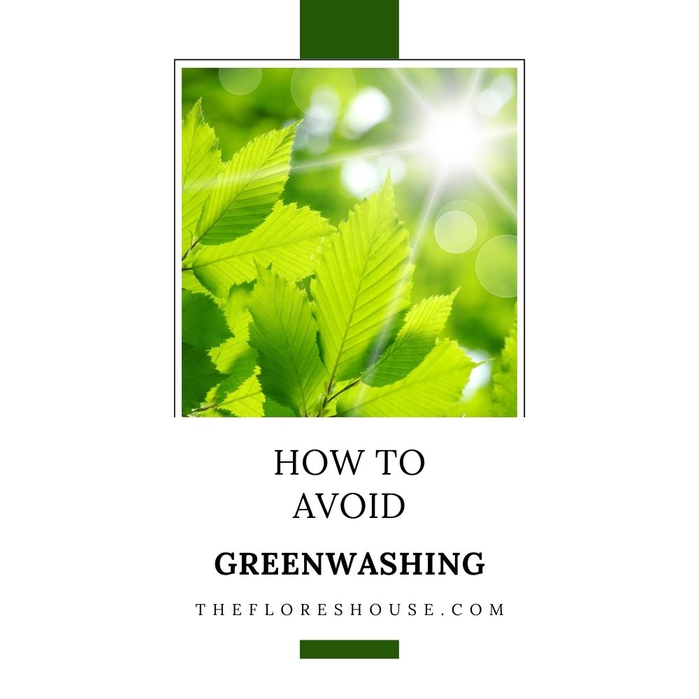 how to avoid greenwashing