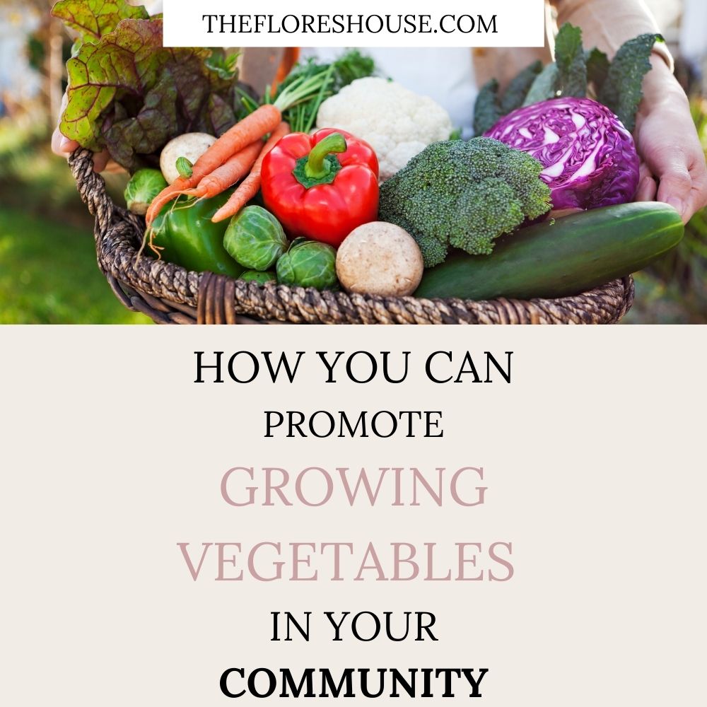 how you can promote growing vegetables in your community