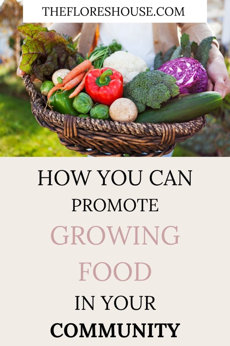 how you can promote growing food in your community