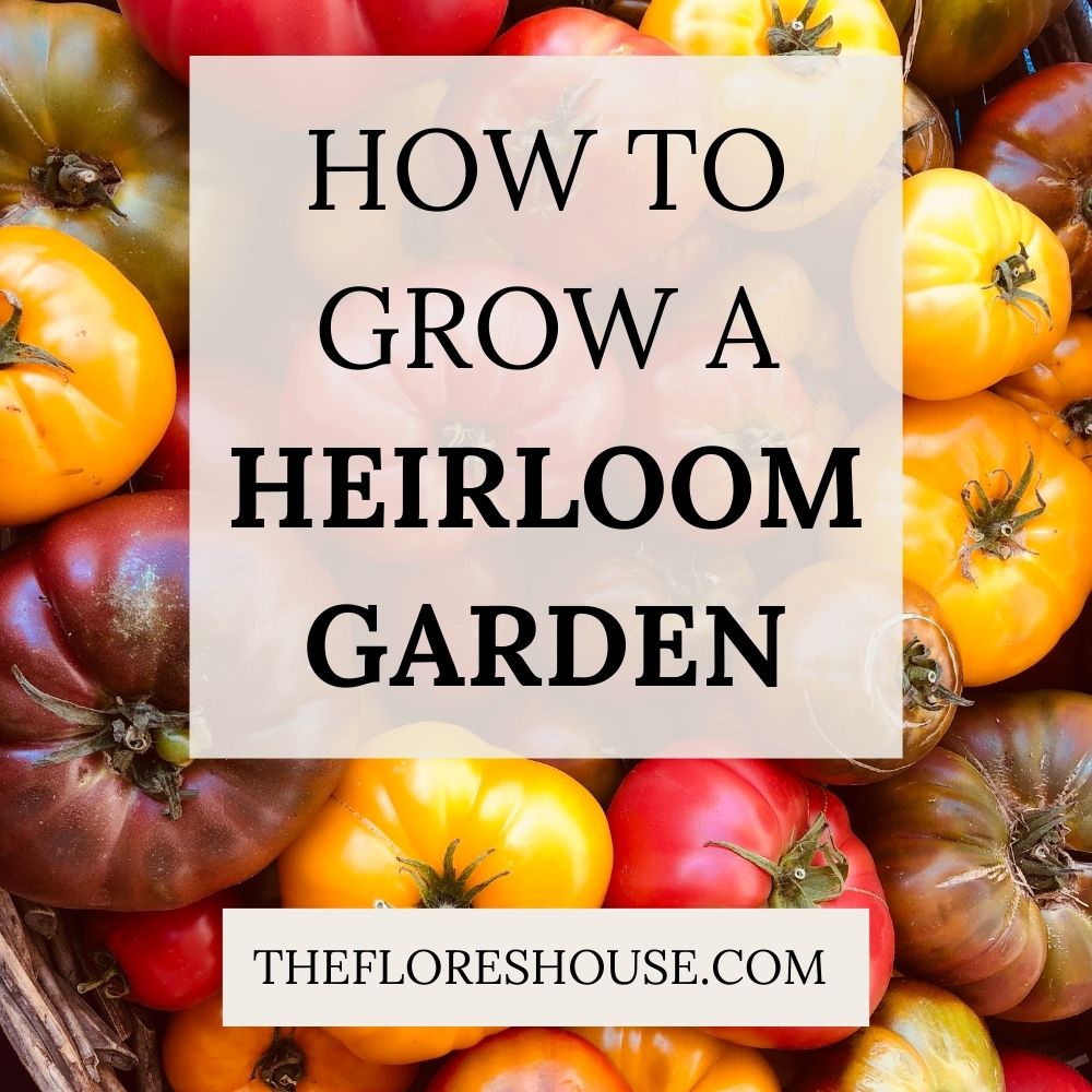 how to grow an heirloom garden