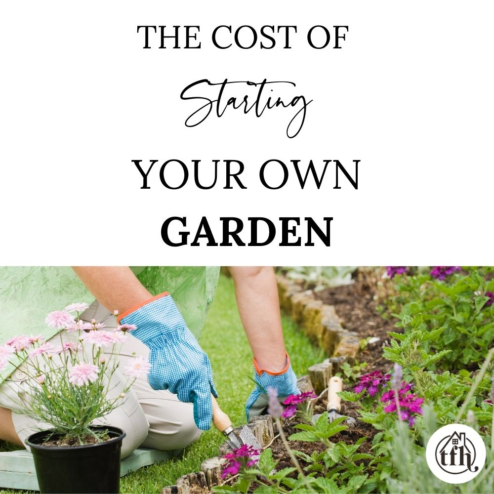 How Much Does It Cost to Start Your Own Garden