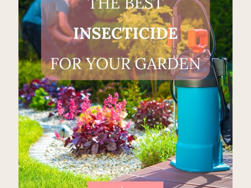 the best insecticide for your garden