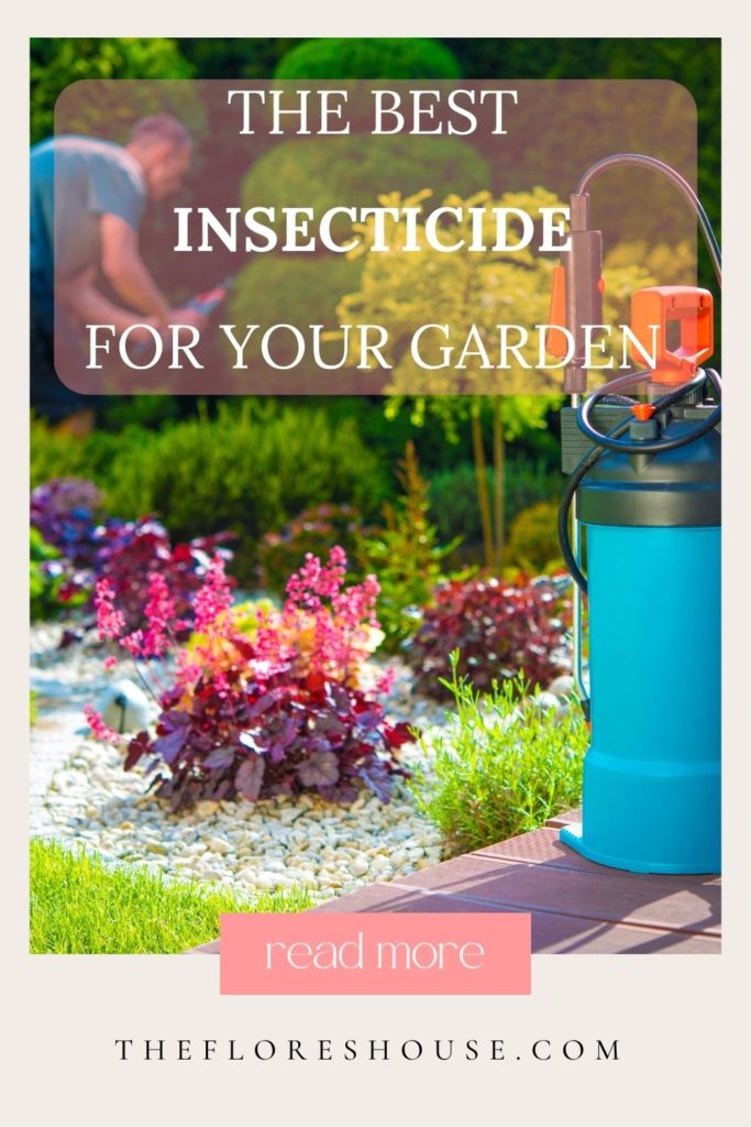 best Insecticide for Vegetable Garden