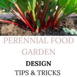 perennial food garden design